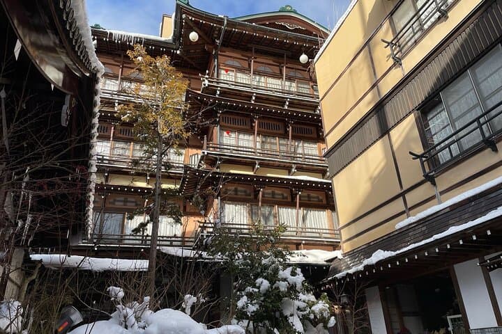 Green Season Snow Monkeys: Baby Monkeys & Scenic Forest Walk — photo 17