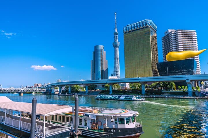 Tokyo Private Guided Day Tour with Private Vehicle Hotel Pickup — photo 4