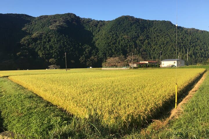 A One Day Walking Escape from Tokyo Discovering Ogawa Saitama — photo 10