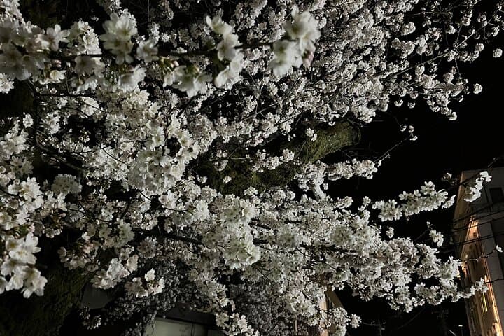 A One Day Walking Escape from Tokyo Discovering Ogawa Saitama — photo 16