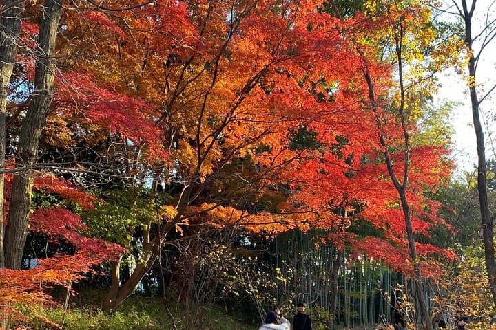 Imperial Palace Walking Tour: The Shoguns and the Imperial Family — photo 20