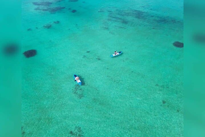Ishigaki Mangrove and Sea SUP or Kayak with Drone and SLR Footage — photo 20