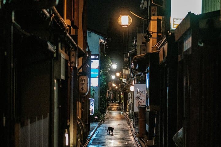 Kyoto Architectural Secrets Led by an Architect PRIVATE Tour — photo 18