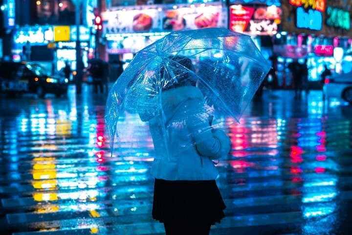 Japan Forbidden Nights Secrets & Shadows PRIVATE Tour — photo 4