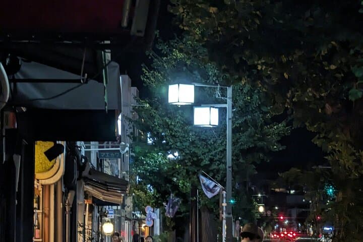 Japan Forbidden Nights Secrets & Shadows PRIVATE Tour — photo 13