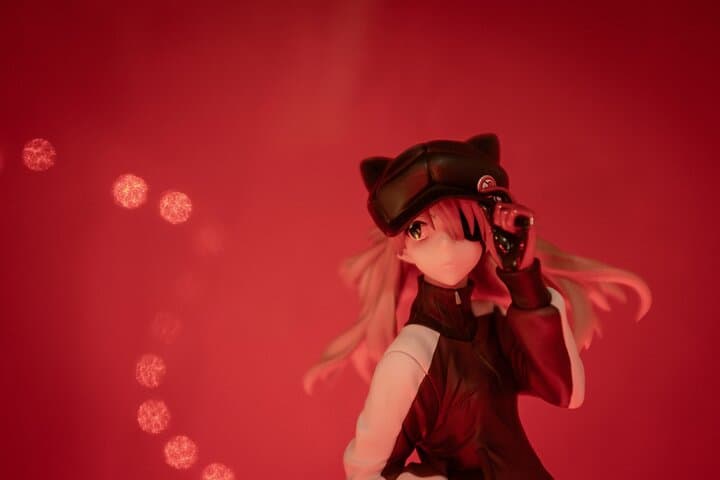 Japan Forbidden Nights Secrets & Shadows PRIVATE Tour — photo 7