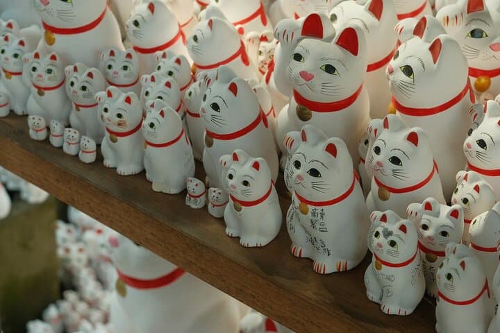 Kyoto Weird & Unusual: Oddities & Curiosities PRIVATE Tour — photo 4
