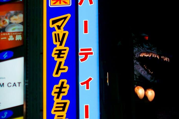 Kyoto Weird & Unusual: Oddities & Curiosities PRIVATE Tour — photo 3