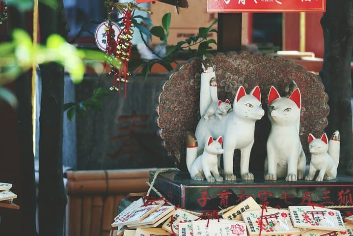 Kyoto Weird & Unusual: Oddities & Curiosities PRIVATE Tour — photo 11