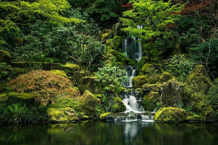 Kyoto Garden Secrets Led by an Architect PRIVATE Tour — photo 10
