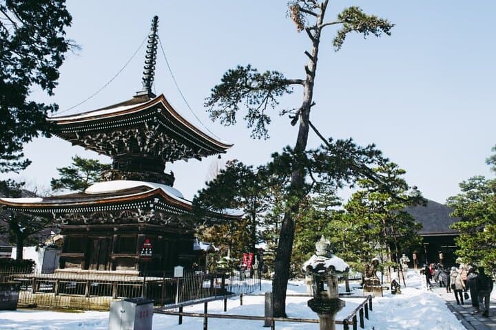 Amanohashidate Ine Funaya and Miyama Thatched Village Day Tour — photo 9