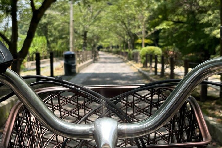 Kyoto E Bike Tour Higashiyama Temples Hidden Alleys — photo 14