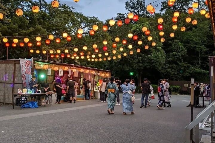 Meiji Mura and Inuyama Castle Day Tour Nagoya — photo 4