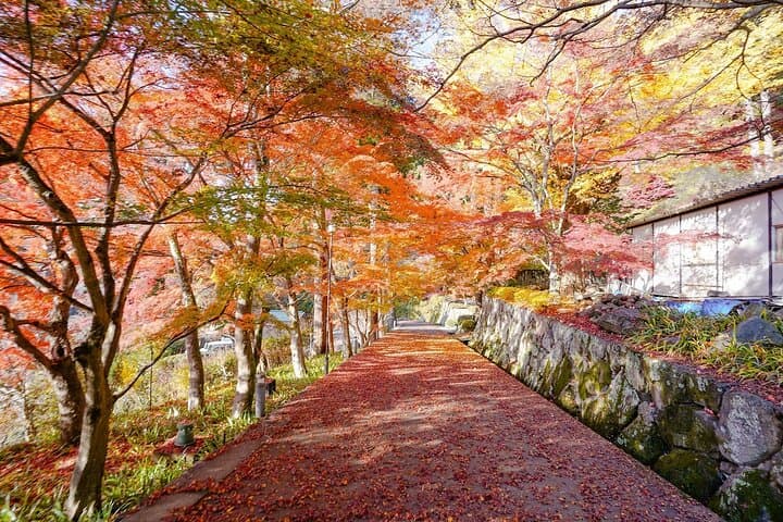 Osaka Early Bird Trail in Katsuo-ji and Minoh Falls — photo 8