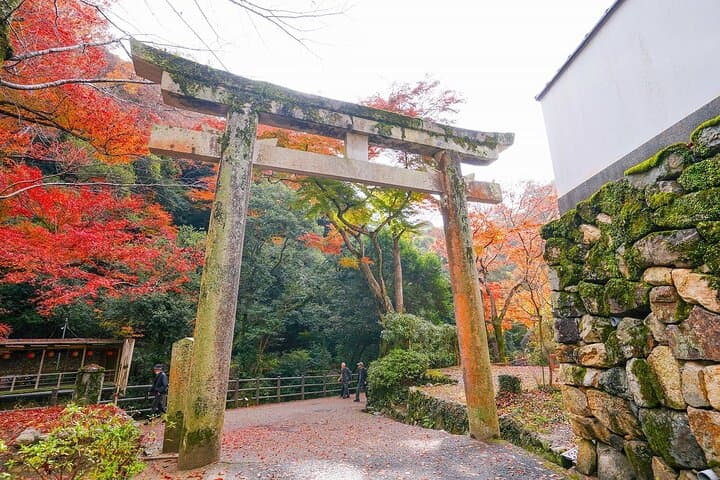 Osaka Early Bird Trail in Katsuo-ji and Minoh Falls — photo 10