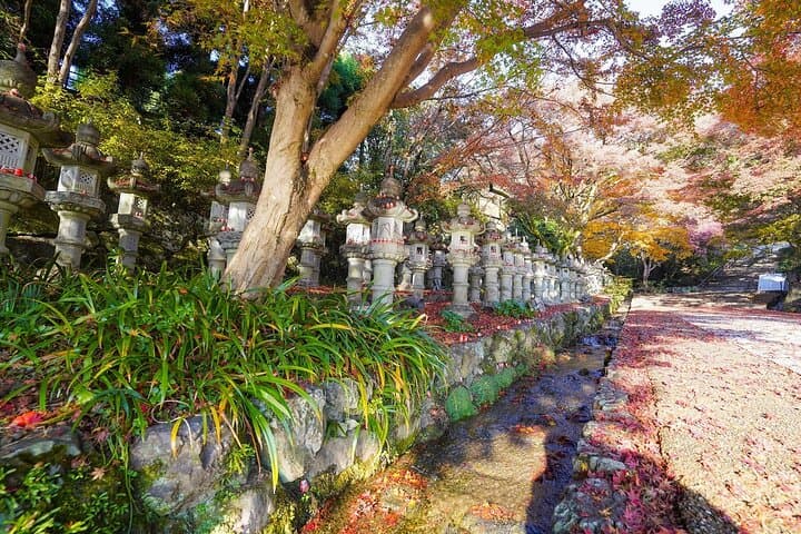 Osaka Early Bird Trail in Katsuo-ji and Minoh Falls — photo 14