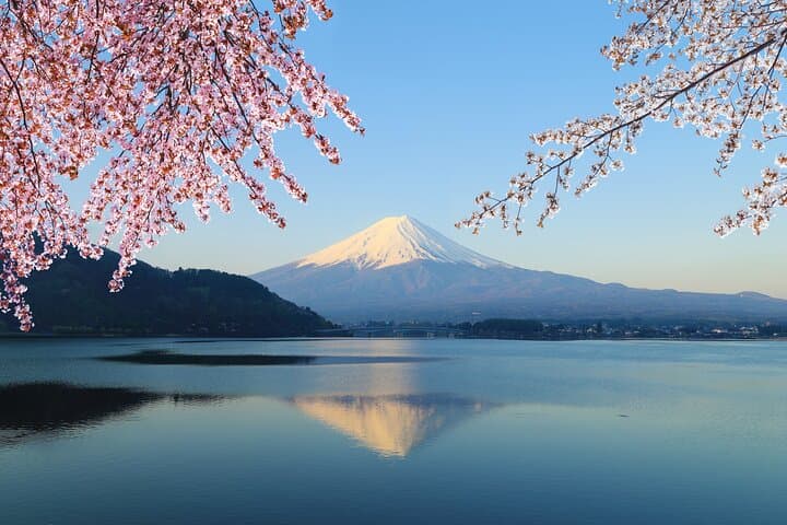 Mt. Fuji & Hakushu Distillery Whisky Museum Bus Tour from Tokyo — photo 4