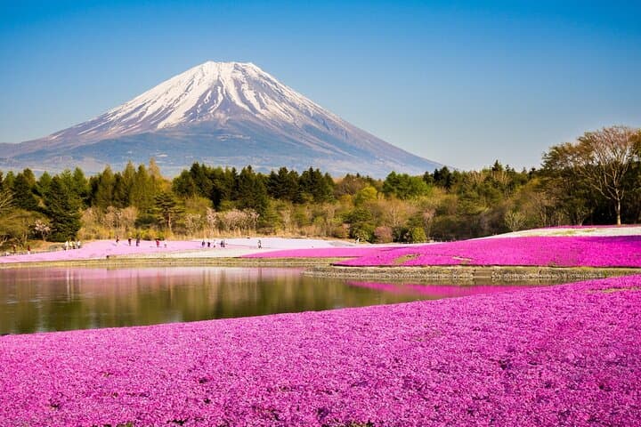 Mt. Fuji & Hakushu Distillery Whisky Museum Bus Tour from Tokyo — photo 2