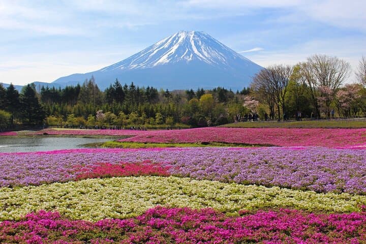 Mt. Fuji & Hakushu Distillery Whisky Museum Bus Tour from Tokyo — photo 7