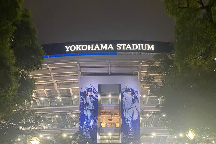 Watch Baseball Game in Yokohama with an English Speaking Guide — photo 2