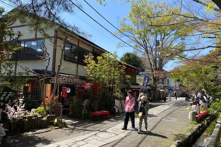 Jindaiji Traditional Temple Purification Tour with Local Soba — photo 6