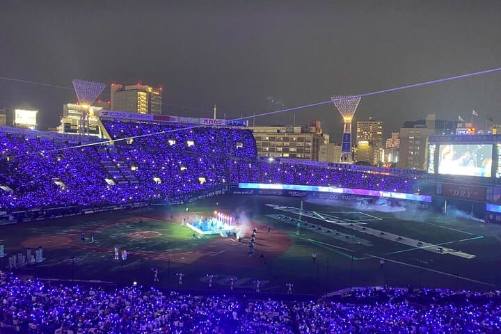 Watch Baseball Game in Yokohama with an English Speaking Guide — photo 7