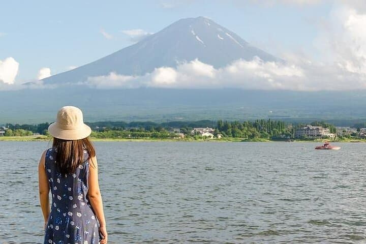 Season Special: Private Mt. Fuji Shibazakura Spring Tour — photo 5
