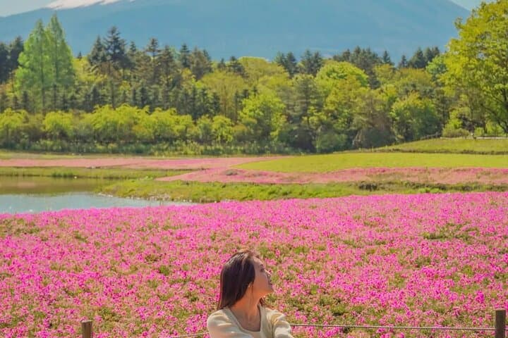Season Special: Private Mt. Fuji Shibazakura Spring Tour — photo 2