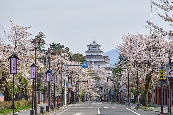 Full Day Fukushima Private Tour: Tsuruga Castle & Ouchi-juku — photo 9
