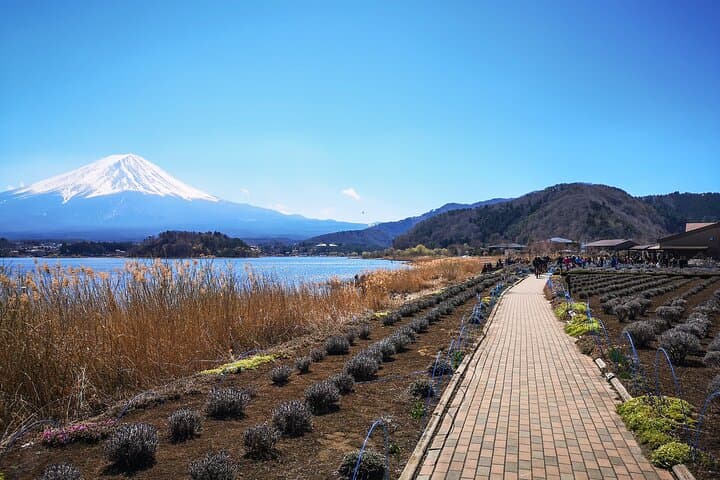 Iconic Mount Fuji & Lake Kawaguchiko Breathtaking Private Tour — photo 7