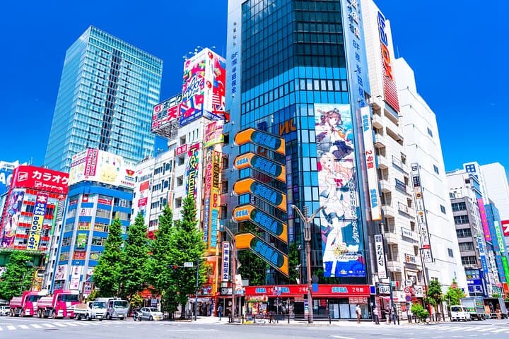 Tokyo Private Guided Day Tour with Private Vehicle Hotel Pickup — photo 10