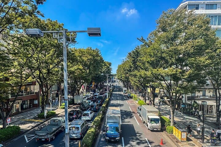 Tokyo Private Guided Day Tour with Private Vehicle Hotel Pickup — photo 1