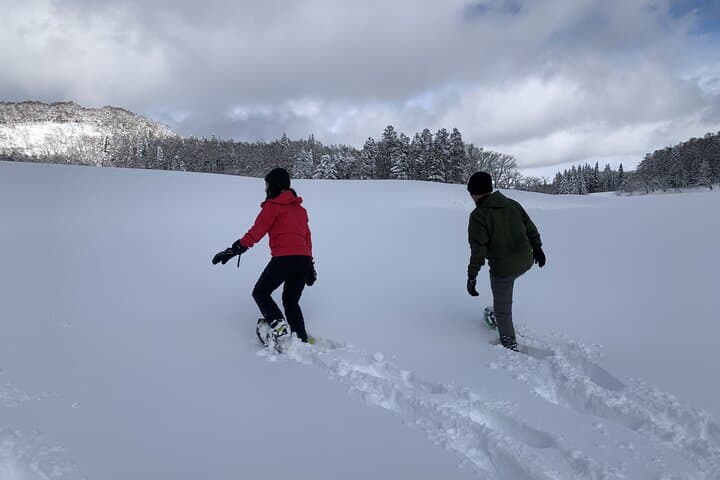Nagano Private Half-Day Snowshoe Hike Nozawa Iiyama Madarao — photo 2