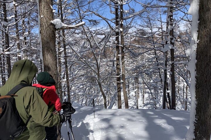 Nagano Private Half-Day Snowshoe Hike Nozawa Iiyama Madarao — photo 4