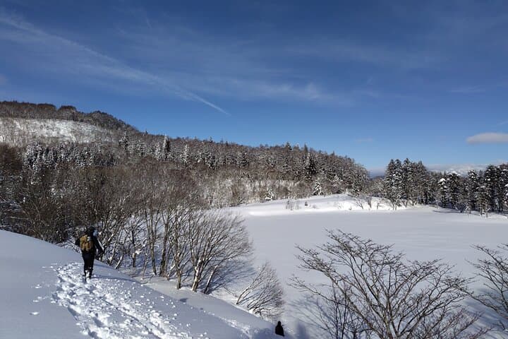 Nagano Private Half-Day Snowshoe Hike Nozawa Iiyama Madarao — photo 5