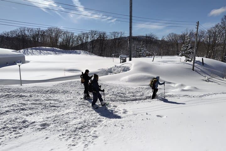 Nagano Private Half-Day Snowshoe Hike Nozawa Iiyama Madarao — photo 8