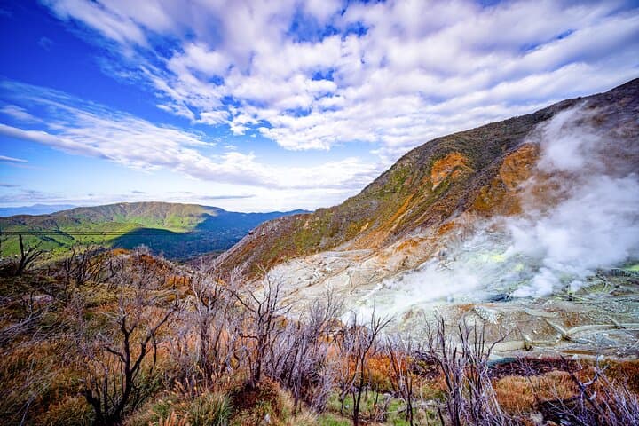 Mount Fuji Majesty with Hakone Wonders Exclusive Private Day Trip — photo 2