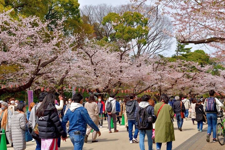 Exclusive Tokyo Private Tour — photo 3