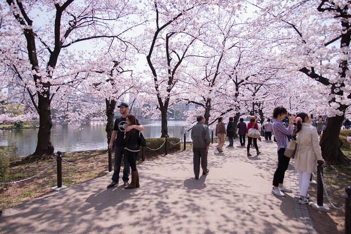Exclusive Tokyo Private Tour — photo 4