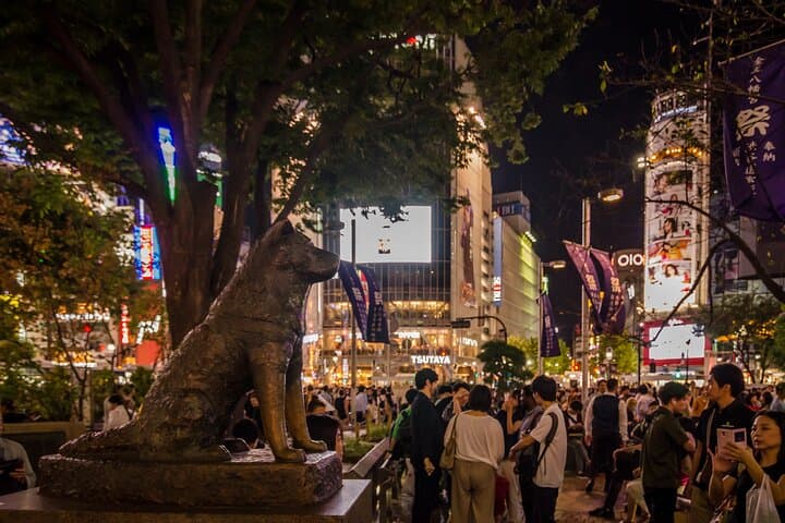 Exclusive Tokyo Private Tour — photo 9