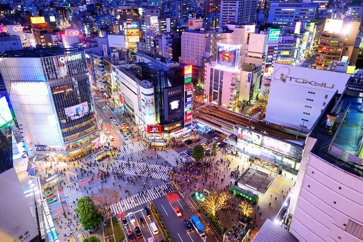Exclusive Tokyo Private Tour — photo 7