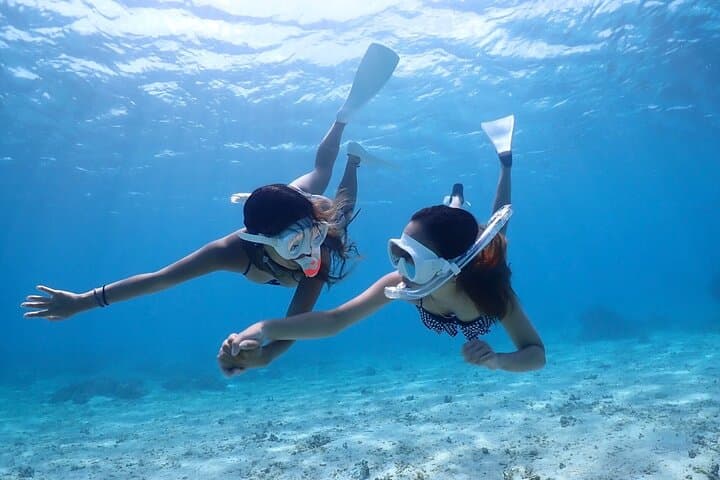 Miyakojima 《Encounter rate 100% ongoing》 [Sea Turtle & Clownfish Snorkeling] No additional fee｜Full refund guarantee｜1 year old OK｜Free rental and photography — photo 20