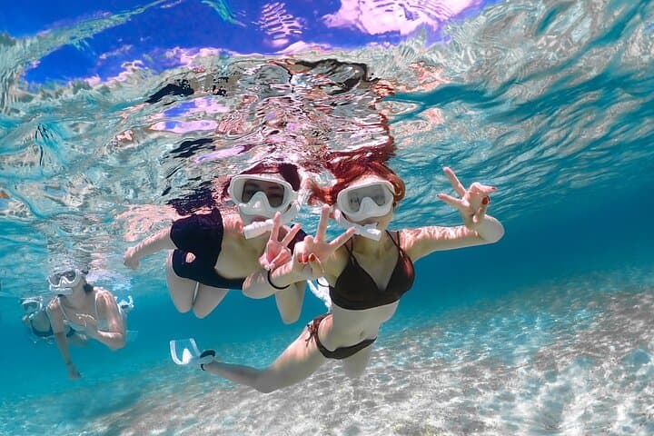 Miyakojima 《Encounter rate 100% ongoing》 [Sea Turtle & Clownfish Snorkeling] No additional fee｜Full refund guarantee｜1 year old OK｜Free rental and photography — photo 18