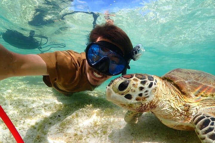 Miyakojima 《Encounter rate 100% ongoing》 [Sea Turtle & Clownfish Snorkeling] No additional fee｜Full refund guarantee｜1 year old OK｜Free rental and photography — photo 7