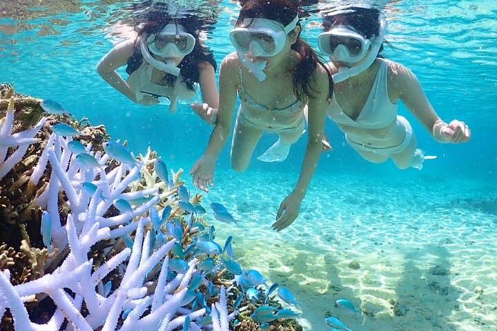 Miyakojima 《Private VIP Plan》[With drone photography｜Nemo & sea turtle snorkel tour] No additional charge｜Full refund guarantee｜Free rental and photography — photo 18