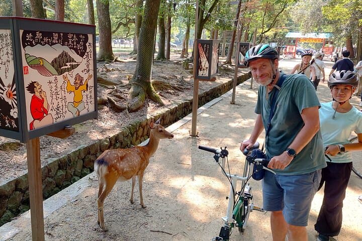 Nara: UNESCO World Heritage Sites Slow Cycling Tour — photo 8
