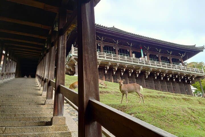 Nara: UNESCO World Heritage Sites Slow Cycling Tour — photo 15