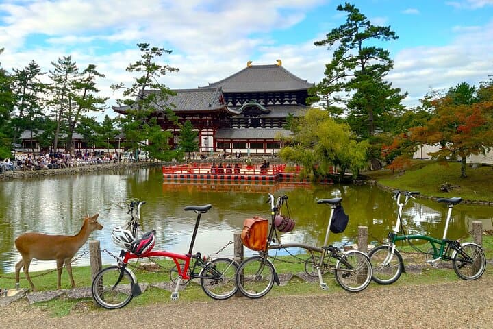 Nara: UNESCO World Heritage Sites Slow Cycling Tour — photo 17