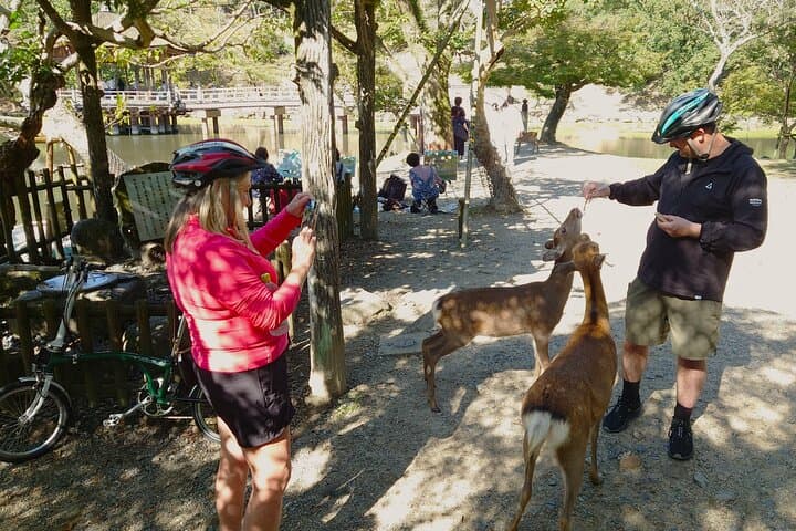 Nara: UNESCO World Heritage Sites Slow Cycling Tour — photo 19