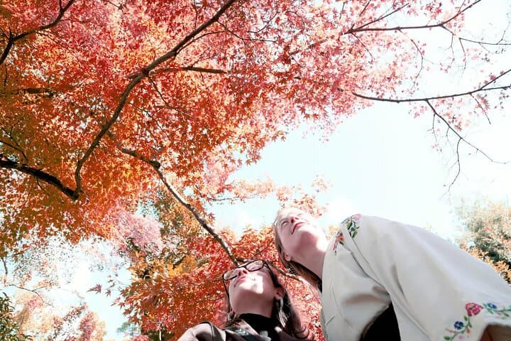 Kyoto: Discover the Oldest Geisha District, Kamishichiken — photo 6